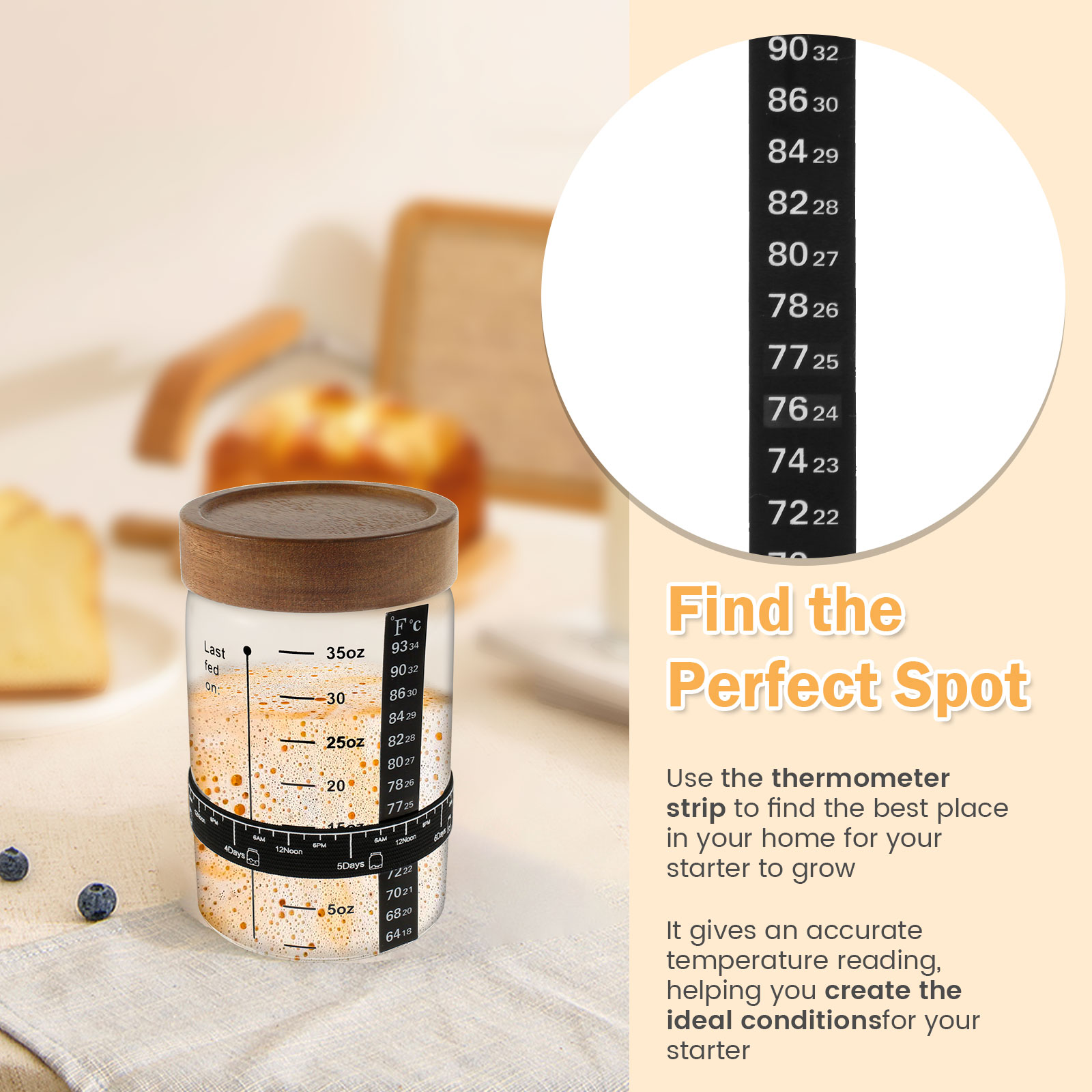 Sourdough Starter Jar Kit 1000 - Kitchen Baking Storage Containers 评论和价格
